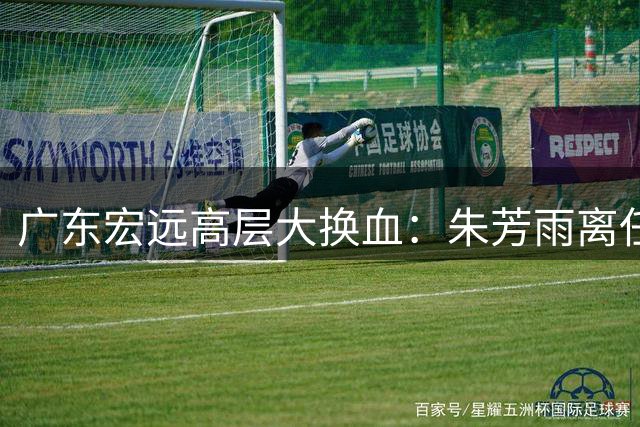 广东宏远高层大换血：朱芳雨离任总经理，少东家接棒引周鹏回归